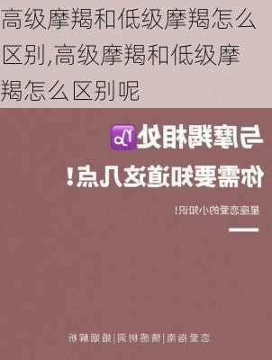 高级摩羯和低级摩羯怎么区别,高级摩羯和低级摩羯怎么区别呢