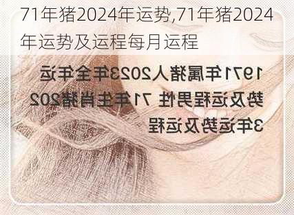 71年猪2024年运势,71年猪2024年运势及运程每月运程