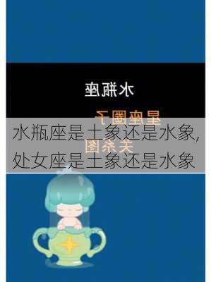 水瓶座是土象还是水象,处女座是土象还是水象