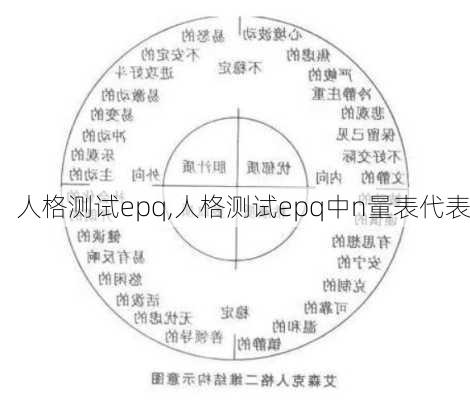 人格测试epq,人格测试epq中n量表代表