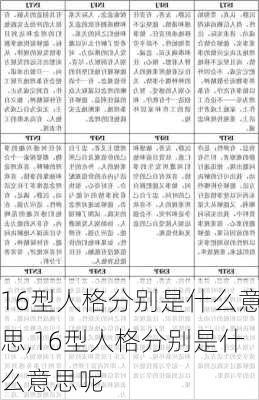 16型人格分别是什么意思,16型人格分别是什么意思呢