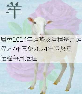 属兔2024年运势及运程每月运程,87年属兔2024年运势及运程每月运程