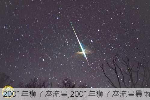 2001年狮子座流星,2001年狮子座流星暴雨