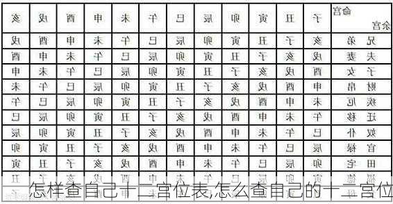 怎样查自己十二宫位表,怎么查自己的十二宫位