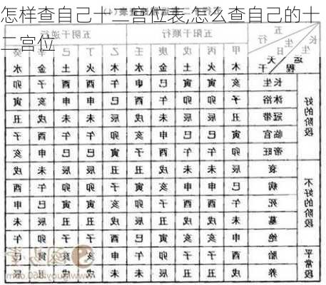 怎样查自己十二宫位表,怎么查自己的十二宫位