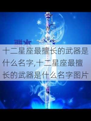 十二星座最擅长的武器是什么名字,十二星座最擅长的武器是什么名字图片