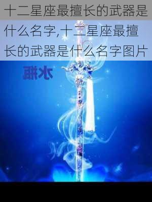 十二星座最擅长的武器是什么名字,十二星座最擅长的武器是什么名字图片