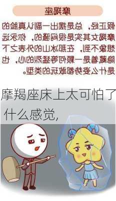 摩羯座床上太可怕了 什么感觉,