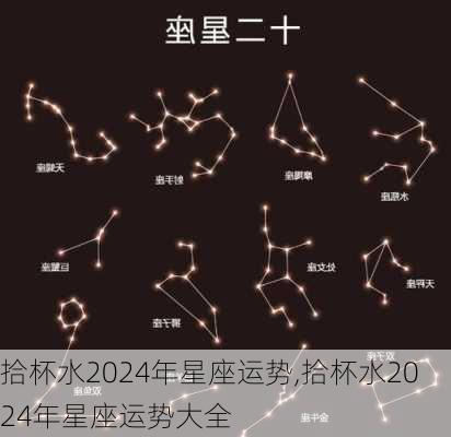 拾杯水2024年星座运势,拾杯水2024年星座运势大全