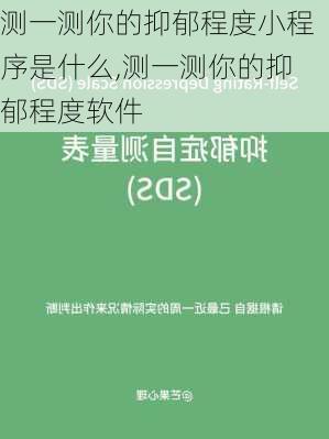 测一测你的抑郁程度小程序是什么,测一测你的抑郁程度软件