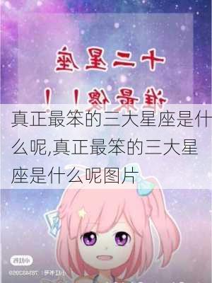 真正最笨的三大星座是什么呢,真正最笨的三大星座是什么呢图片