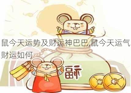 鼠今天运势及财运神巴巴,鼠今天运气财运如何