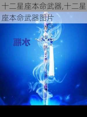 十二星座本命武器,十二星座本命武器图片