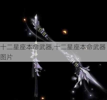 十二星座本命武器,十二星座本命武器图片