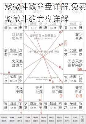 紫微斗数命盘详解,免费紫微斗数命盘详解