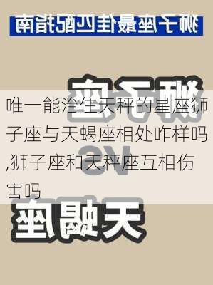 唯一能治住天秤的星座狮子座与天蝎座相处咋样吗,狮子座和天秤座互相伤害吗