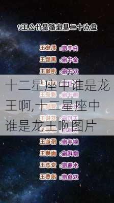 十二星座中谁是龙王啊,十二星座中谁是龙王啊图片