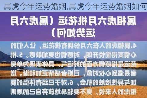 属虎今年运势婚姻,属虎今年运势婚姻如何