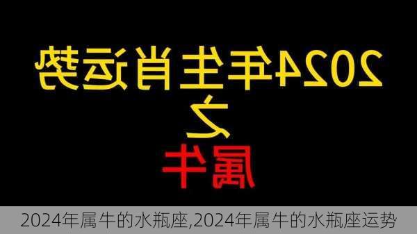 2024年属牛的水瓶座,2024年属牛的水瓶座运势