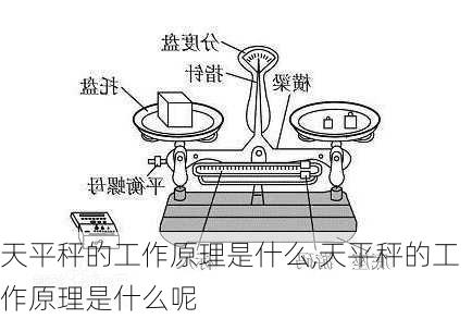 天平秤的工作原理是什么,天平秤的工作原理是什么呢