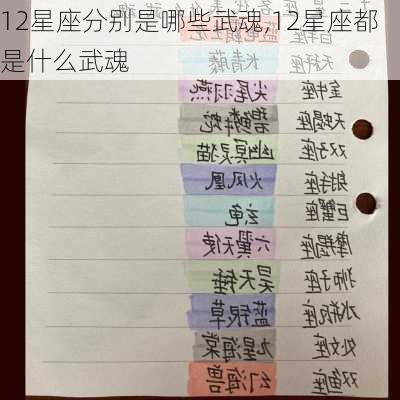 12星座分别是哪些武魂,12星座都是什么武魂