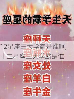 12星座三大学霸是谁啊,十二星座三大学霸是谁