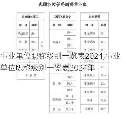 事业单位职称级别一览表2024,事业单位职称级别一览表2024年