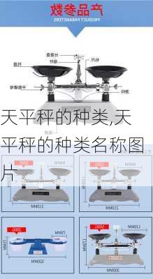 天平秤的种类,天平秤的种类名称图片