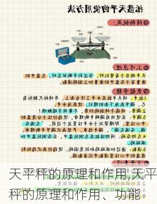 天平秤的原理和作用,天平秤的原理和作用、功能