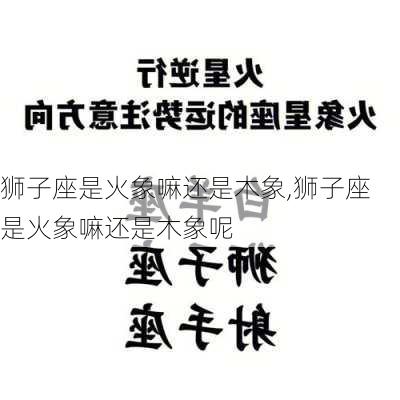 狮子座是火象嘛还是木象,狮子座是火象嘛还是木象呢