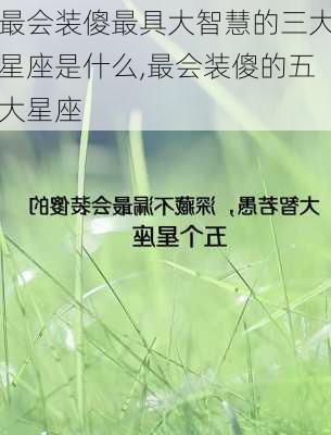 最会装傻最具大智慧的三大星座是什么,最会装傻的五大星座