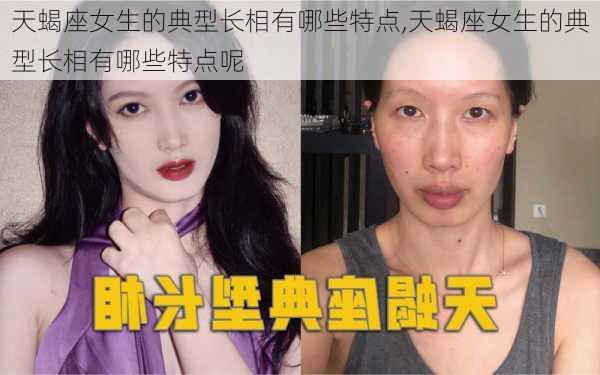 天蝎座女生的典型长相有哪些特点,天蝎座女生的典型长相有哪些特点呢