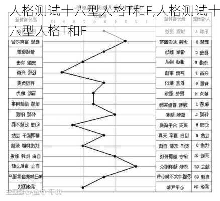 人格测试十六型人格T和F,人格测试十六型人格T和F