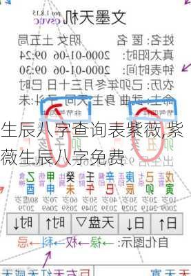 生辰八字查询表紫薇,紫薇生辰八字免费