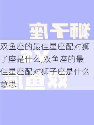 双鱼座的最佳星座配对狮子座是什么,双鱼座的最佳星座配对狮子座是什么意思