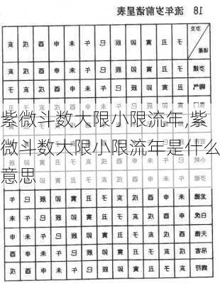 紫微斗数大限小限流年,紫微斗数大限小限流年是什么意思