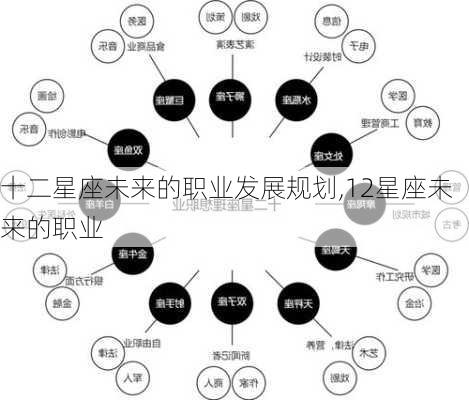 十二星座未来的职业发展规划,12星座未来的职业