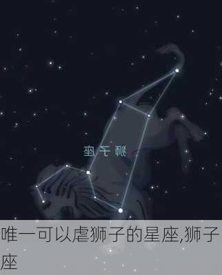 唯一可以虐狮子的星座,狮子座