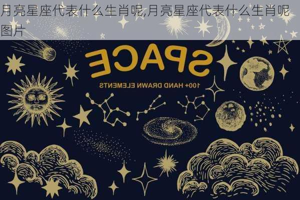 月亮星座代表什么生肖呢,月亮星座代表什么生肖呢图片