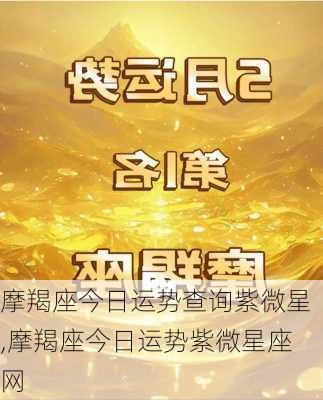 摩羯座今日运势查询紫微星,摩羯座今日运势紫微星座网