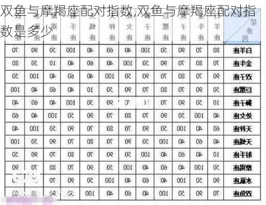 双鱼与摩羯座配对指数,双鱼与摩羯座配对指数是多少