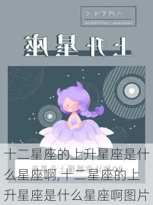 十二星座的上升星座是什么星座啊,十二星座的上升星座是什么星座啊图片