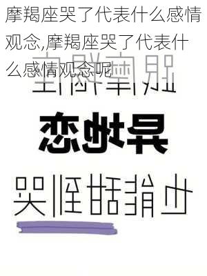 摩羯座哭了代表什么感情观念,摩羯座哭了代表什么感情观念呢