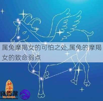 属兔摩羯女的可怕之处,属兔的摩羯女的致命弱点