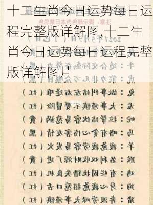 十二生肖今日运势每日运程完整版详解图,十二生肖今日运势每日运程完整版详解图片