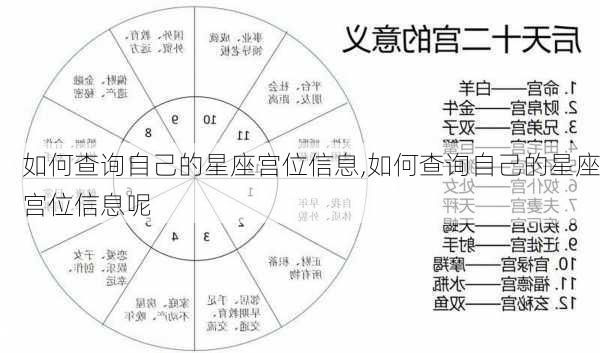 如何查询自己的星座宫位信息,如何查询自己的星座宫位信息呢