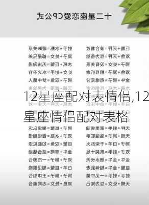 12星座配对表情侣,12星座情侣配对表格