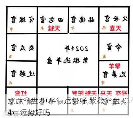 紫薇命盘2024年运势好,紫薇命盘2024年运势好吗