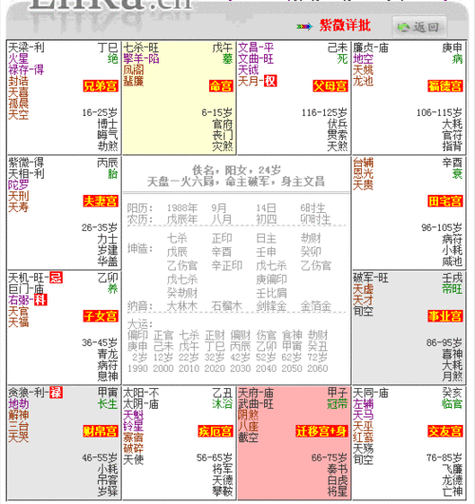 紫薇命盘2024年运势好,紫薇命盘2024年运势好吗