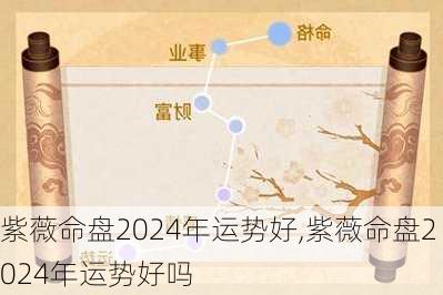 紫薇命盘2024年运势好,紫薇命盘2024年运势好吗